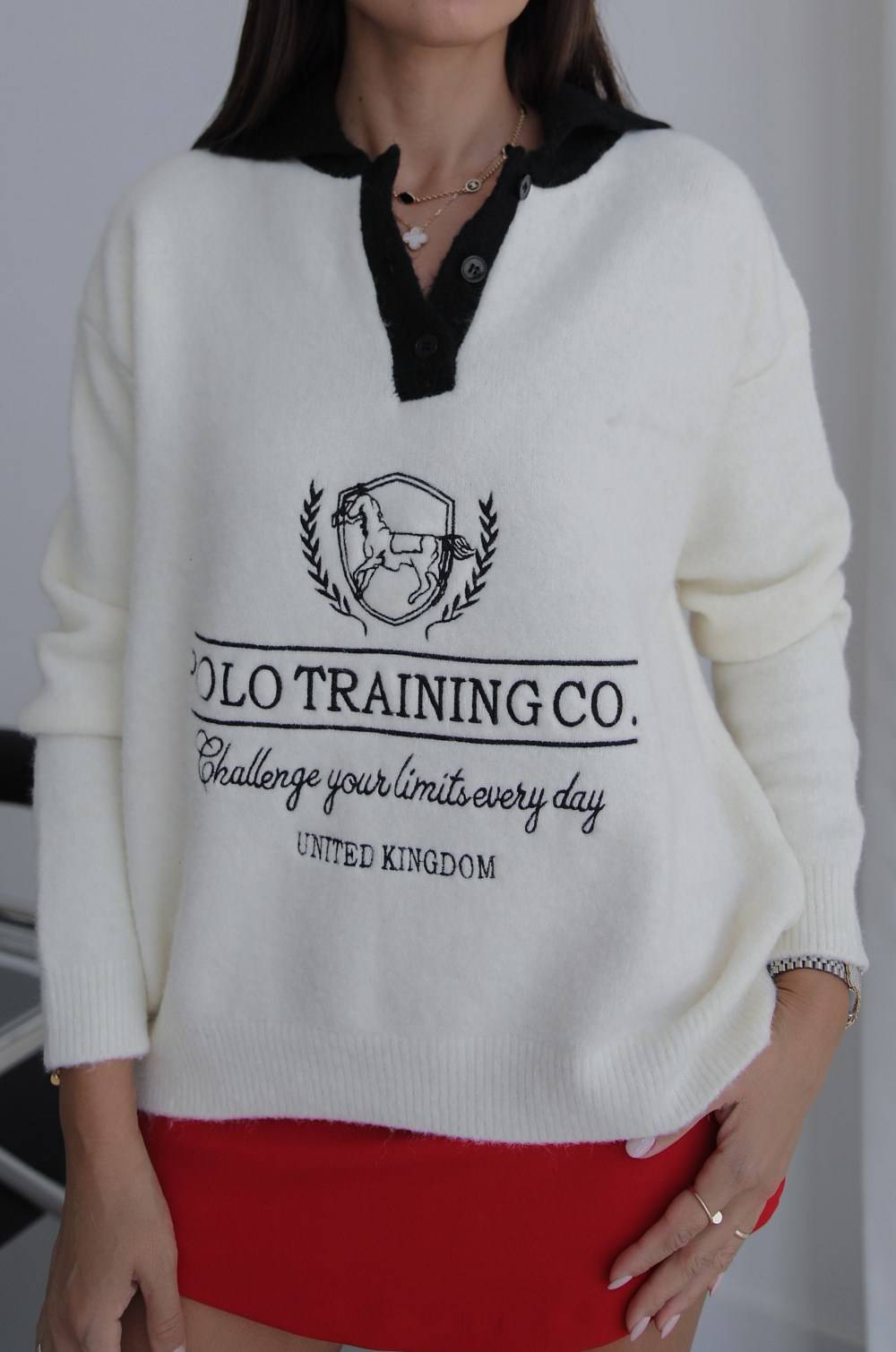 Ecru Polo Training Co Embroidered Jumper — photograph 4