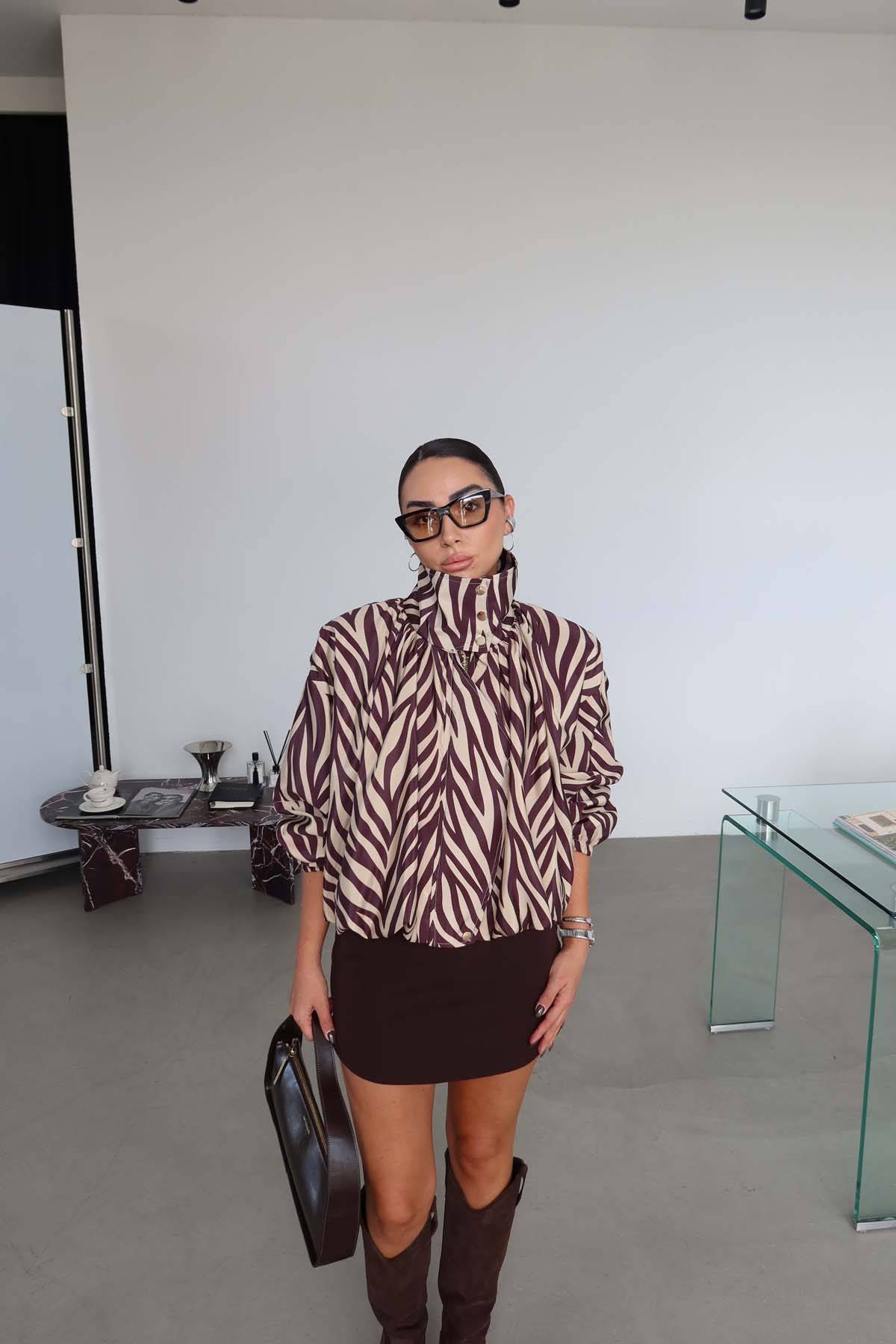 Zebra Print — photograph 2