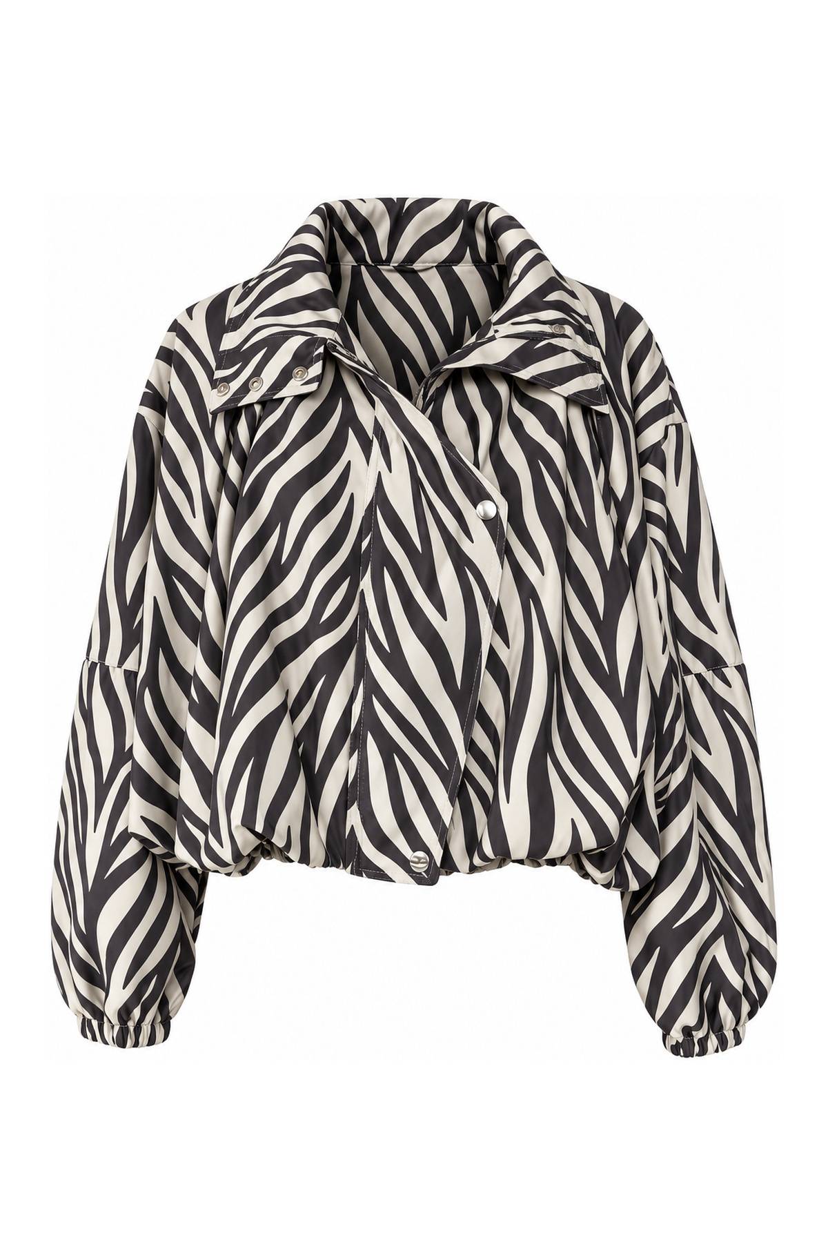 Zebra Print — photograph 3